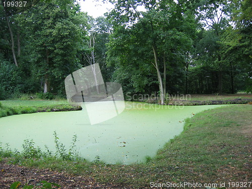 Image of green water