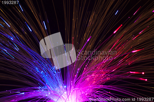 Image of Optical fibers 