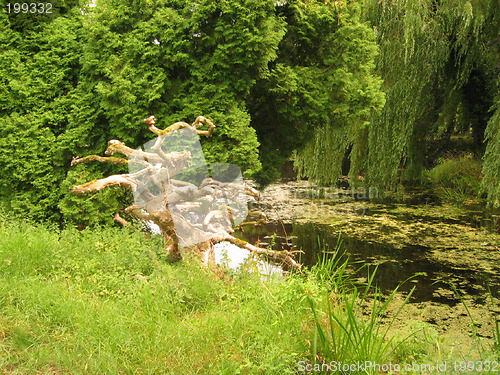 Image of root in castle garden, de Haar