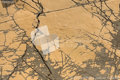 Image of Detail of limestone surface