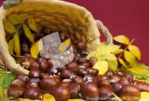 Image of Chestnuts