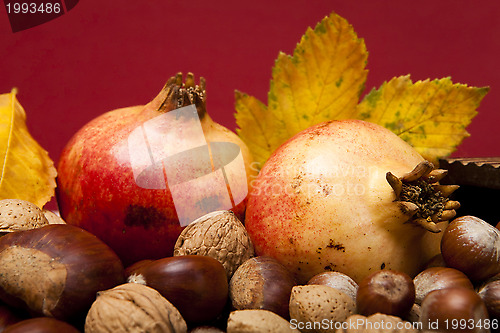 Image of Autumn fruits