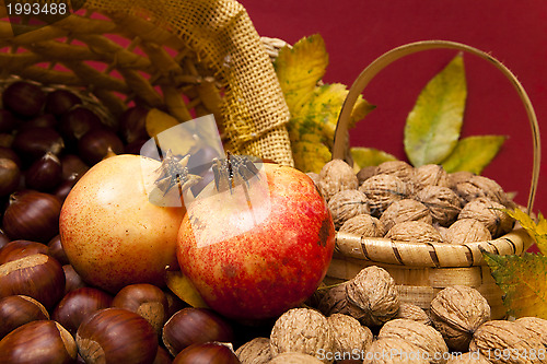 Image of Autumn fruits