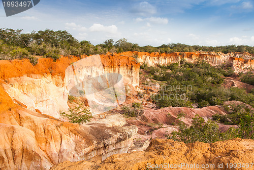 Image of Marafa Canyon - Kenya