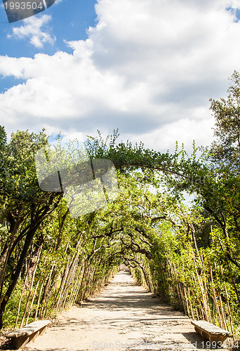 Image of Boboli Gardens