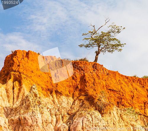 Image of Marafa Canyon - Kenya