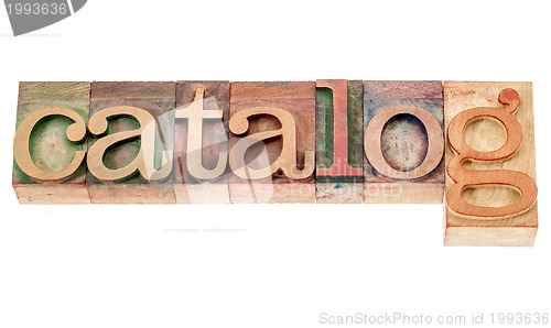Image of catalog word in wood type