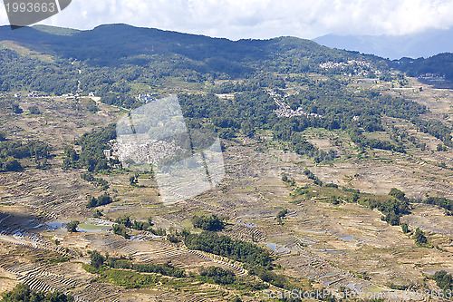 Image of Rice terraces at day