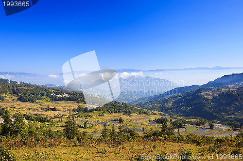 Image of Autumn landscape at rice terraces