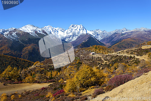 Image of Haba snow mountain landscape in China at autumn