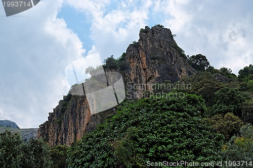 Image of Black cliff towering above the forest