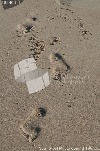 Image of Footprints