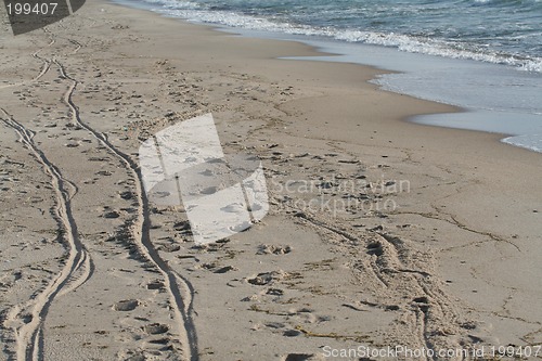 Image of Footprints