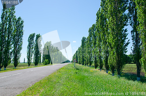 Image of rural road with trees near it board