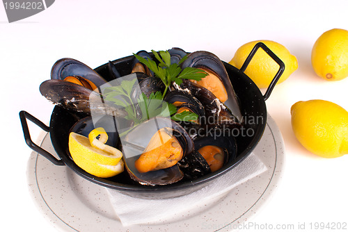 Image of Steamed mussels