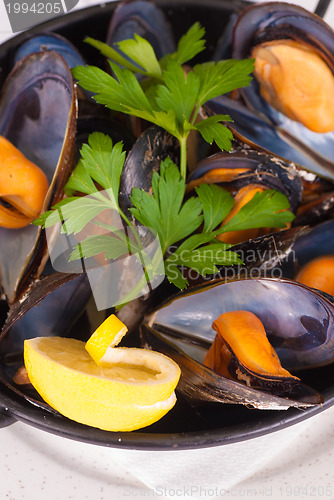 Image of Mussels