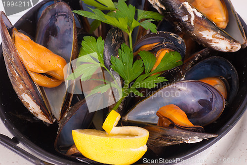 Image of Fresh mussels