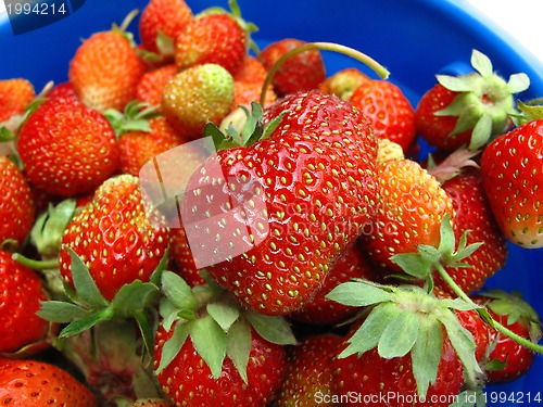 Image of Basket of fresh strawberries