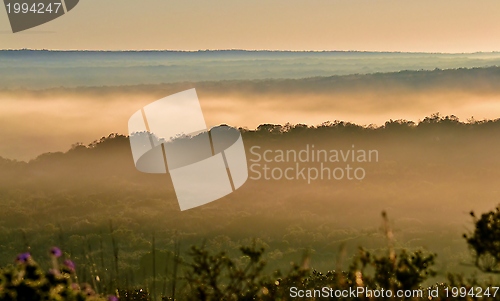 Image of Fog over finebos