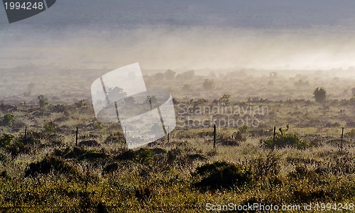 Image of Fog over finebos