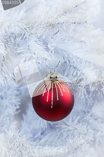 Image of Red Christmas ball hanging on white tree