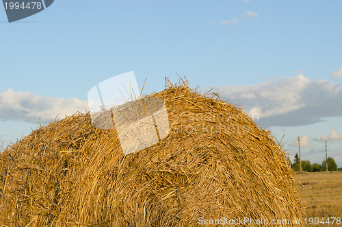 Image of Closeup of straw bales on sky background 