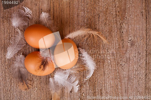 Image of three eggs and feathers 