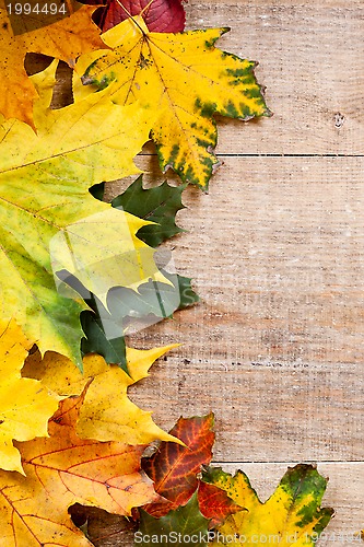 Image of autumn leaves over wooden background 