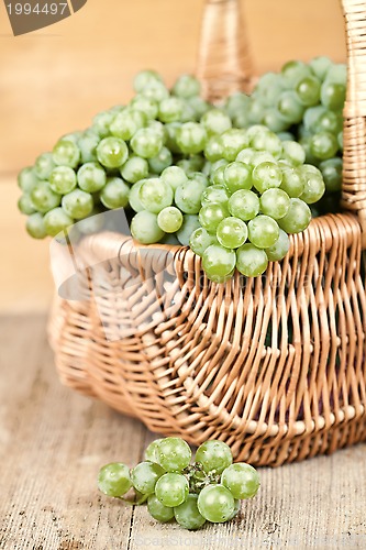 Image of basket with fresh green grapes