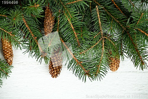 Image of christmas fir tree with pinecones