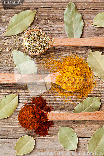 Image of three spices in wooden spoons and bay leaves