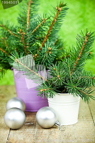 Image of buckets with christmas fir tree and decorations