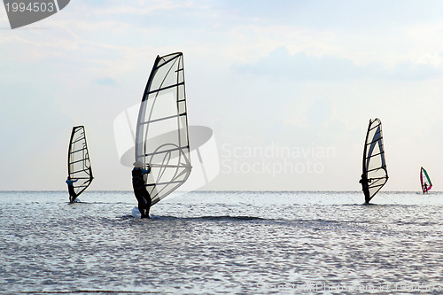 Image of Silhouettes of a four windsurfers