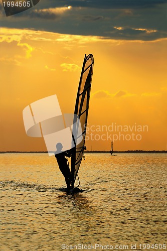 Image of Man windsurfer