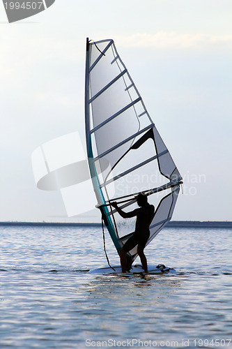 Image of Silhouette of a windsurfer