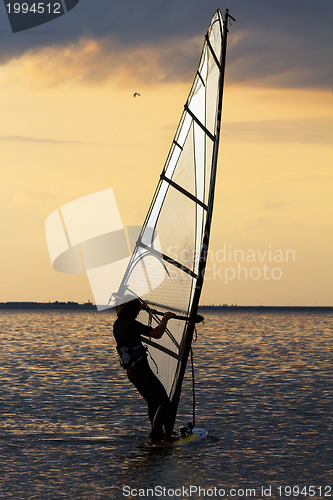 Image of Windsurfer