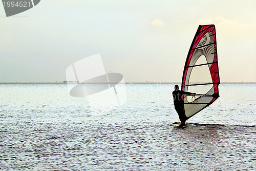 Image of Man windsurfer