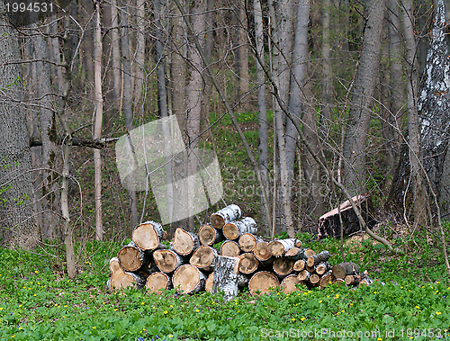 Image of Stack of Logs