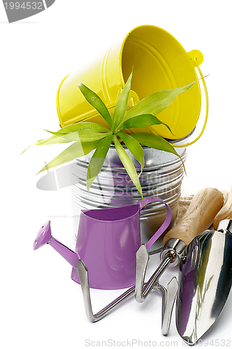 Image of Watering Can with Gardening Tools