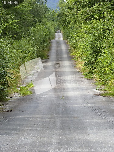 Image of Forest road