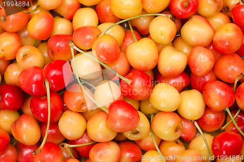 Image of red and yellow cherry