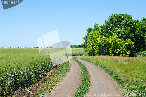 Image of rural road under blue sky with tree