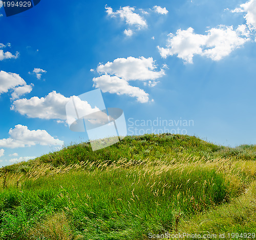 Image of green grass and deep blue sky