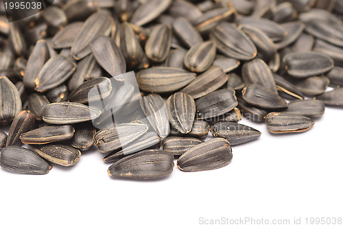 Image of sunflower seeds