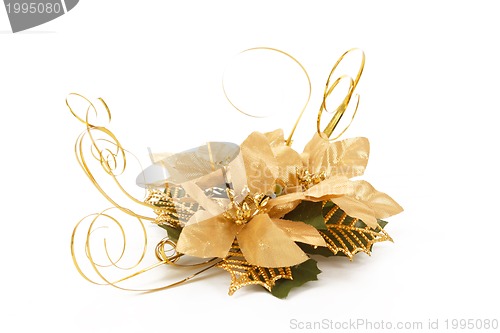 Image of golden christmas decorative flower on white