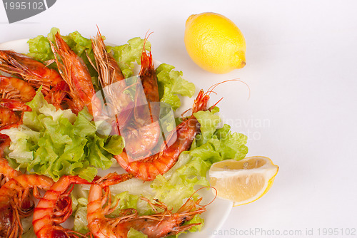 Image of Grilled prawns