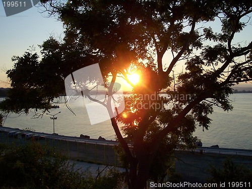 Image of Summer sunset