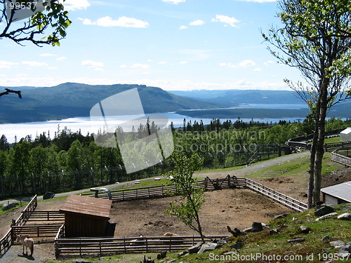 Image of Langedrag