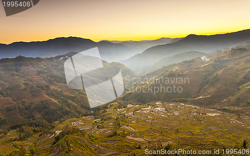 Image of Yuanyang rice terraces sunset in Yunnan, China.