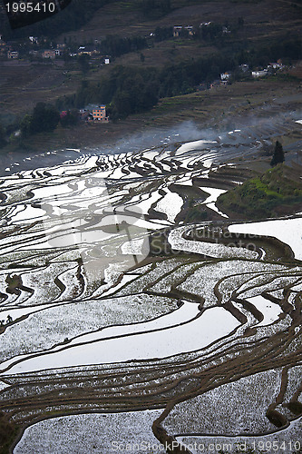 Image of Rice terraces in Yuanyang, China at sunrise